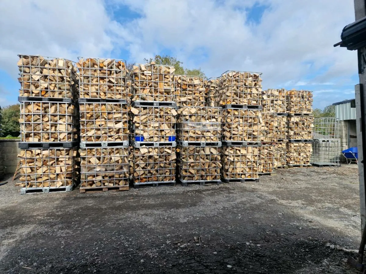 Firewood - Image 2