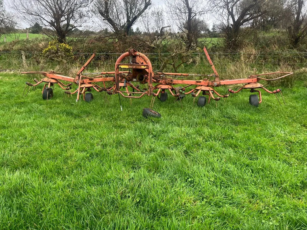 Massey 165 / yard clearance - Image 3