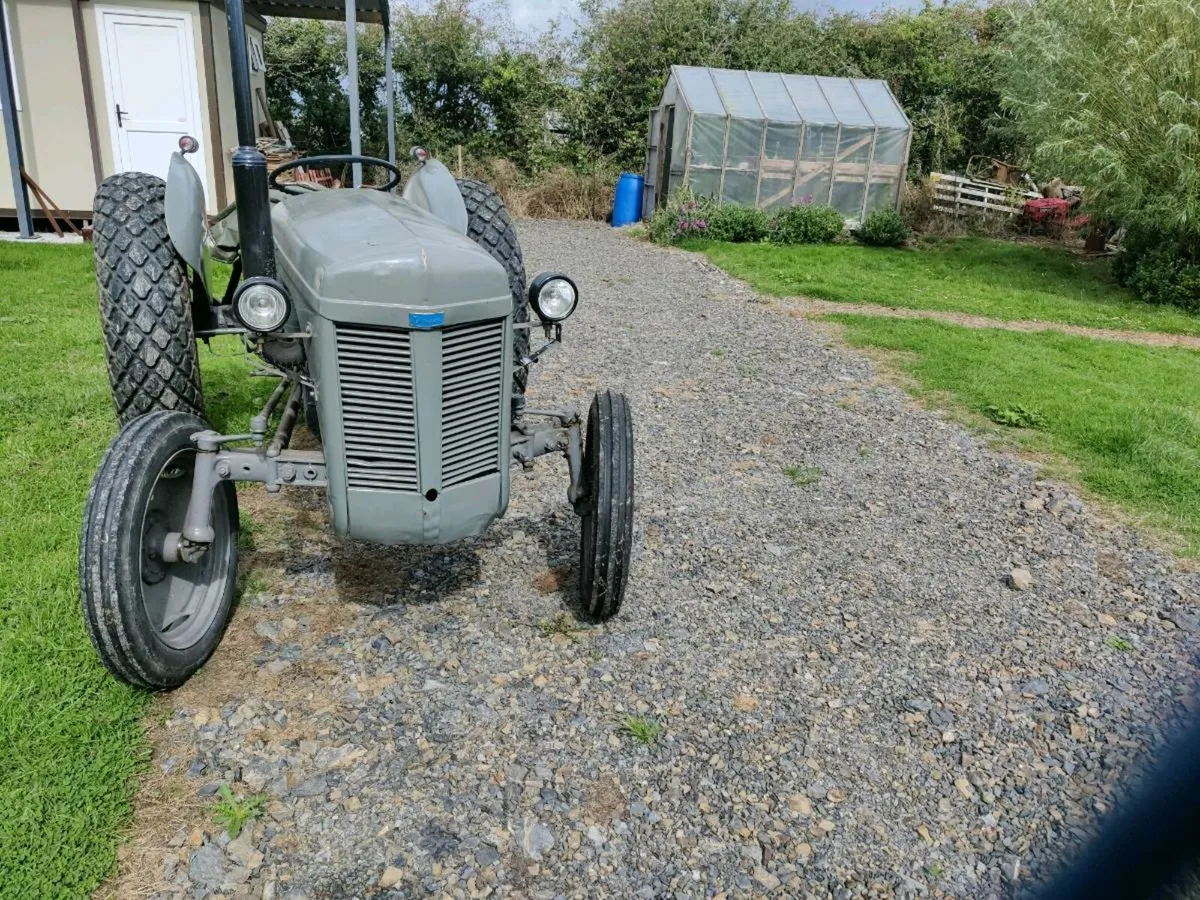 Ferguson 20 - Image 2