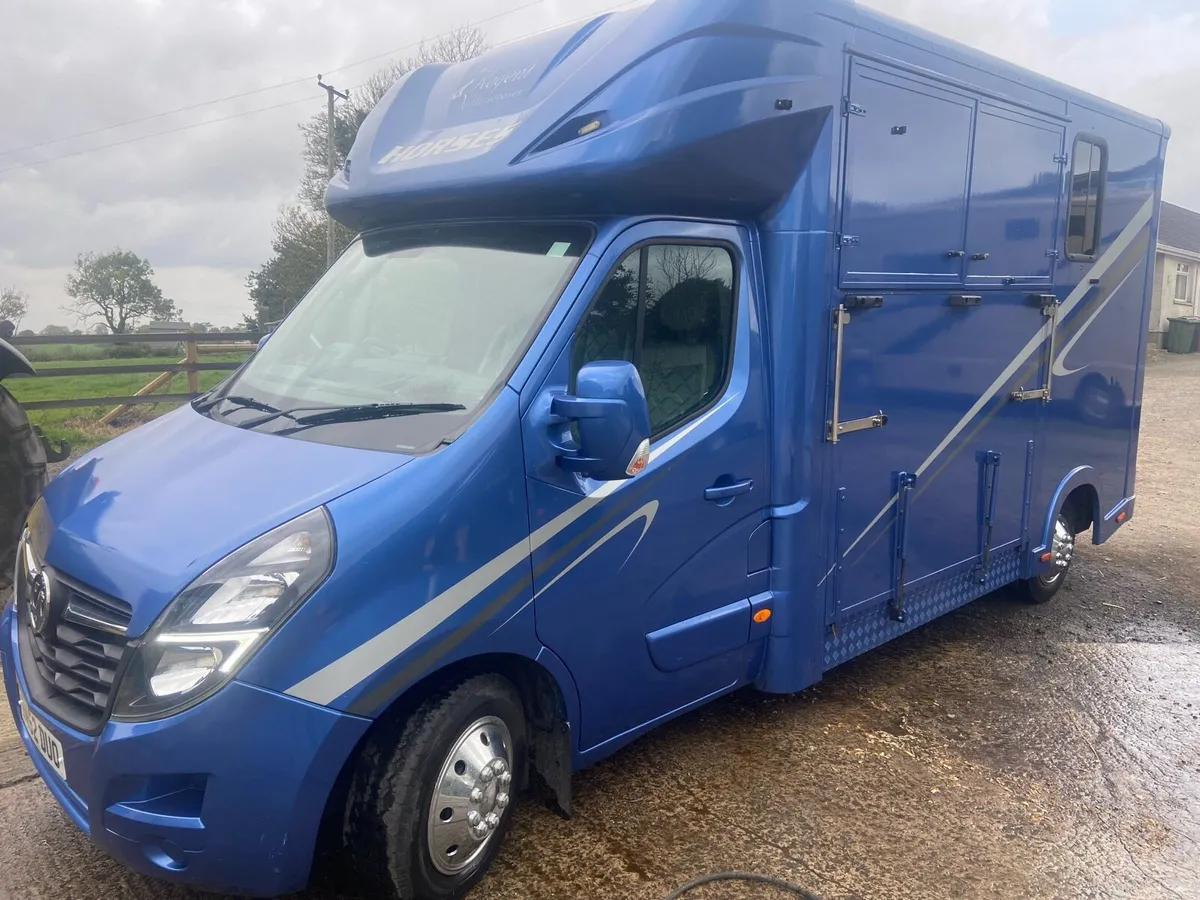 2021 reg Regent 3.5 tonne 2 Stall Stallion Box - Image 1
