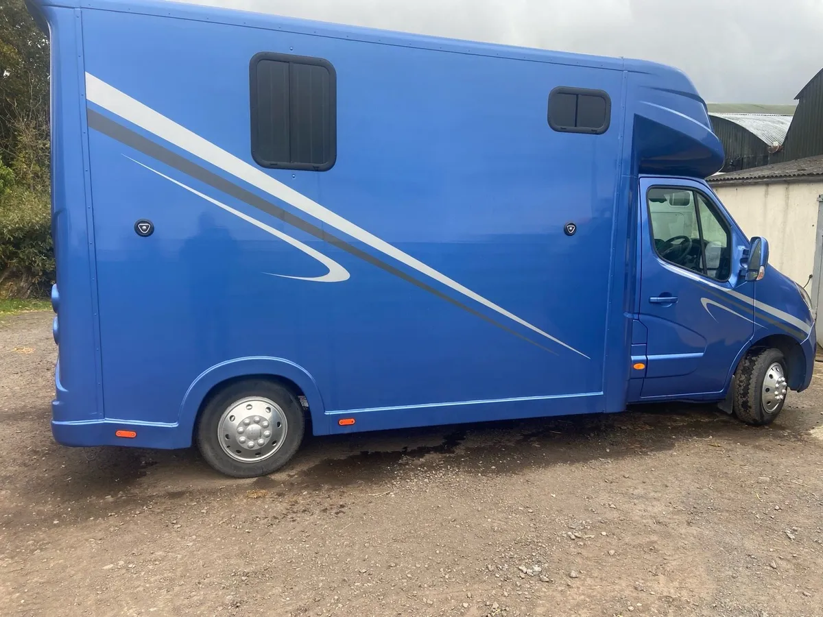 2021 reg Regent 3.5 tonne 2 Stall Stallion Box - Image 2