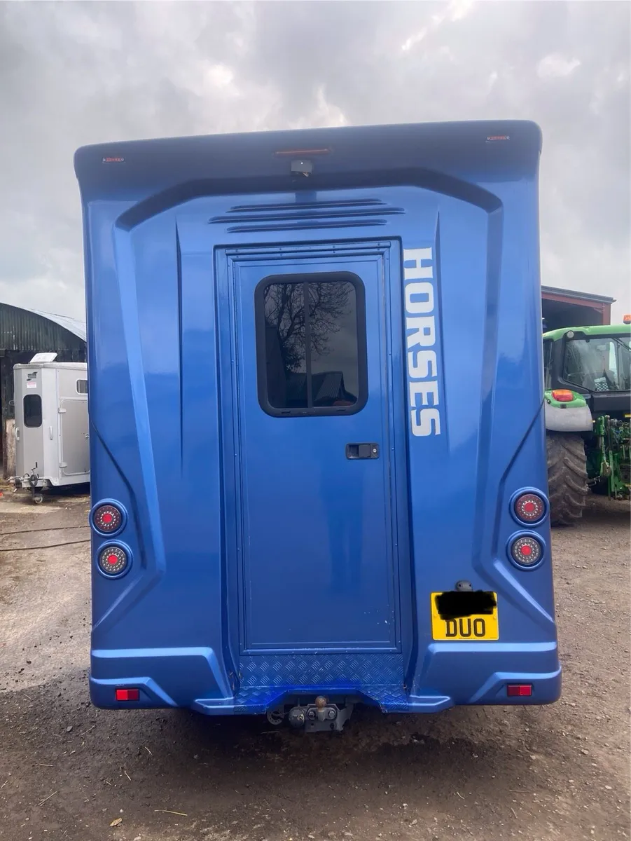 2021 reg Regent 3.5 tonne 2 Stall Stallion Box - Image 3