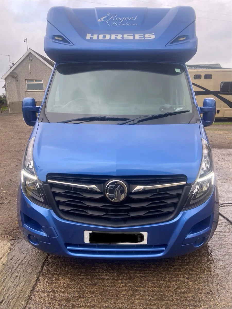 2021 reg Regent 3.5 tonne 2 Stall Stallion Box - Image 4