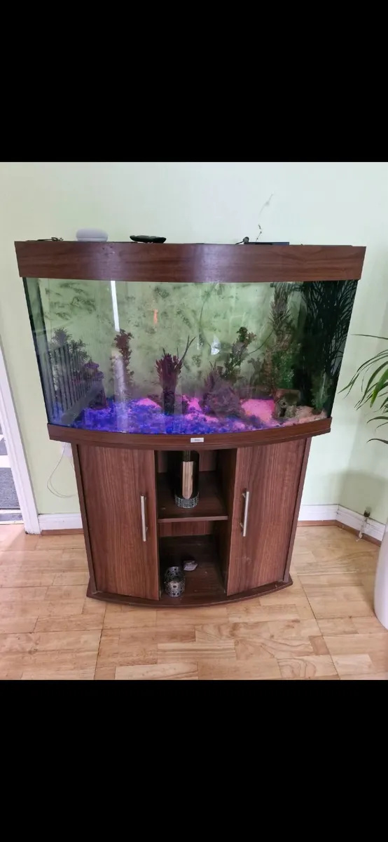 Juwel 180 Curved Fish Tank - Image 1