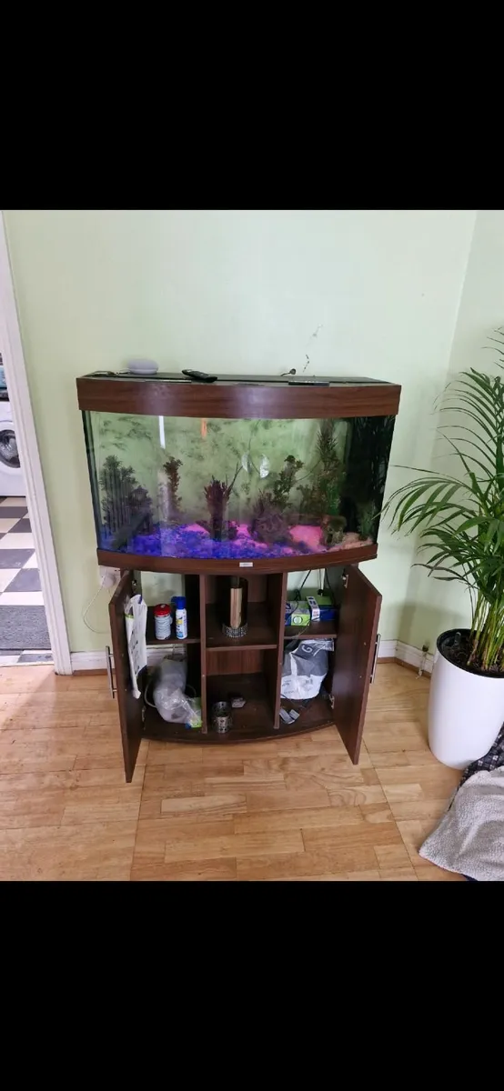 Juwel 180 Curved Fish Tank - Image 2