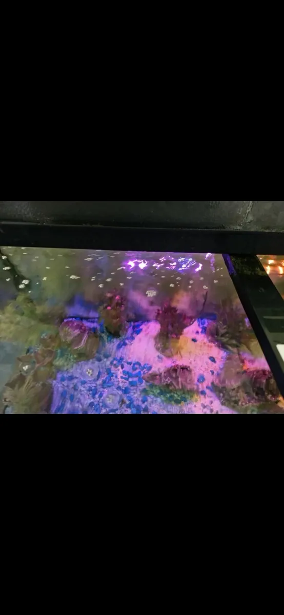 Juwel 180 Curved Fish Tank - Image 3