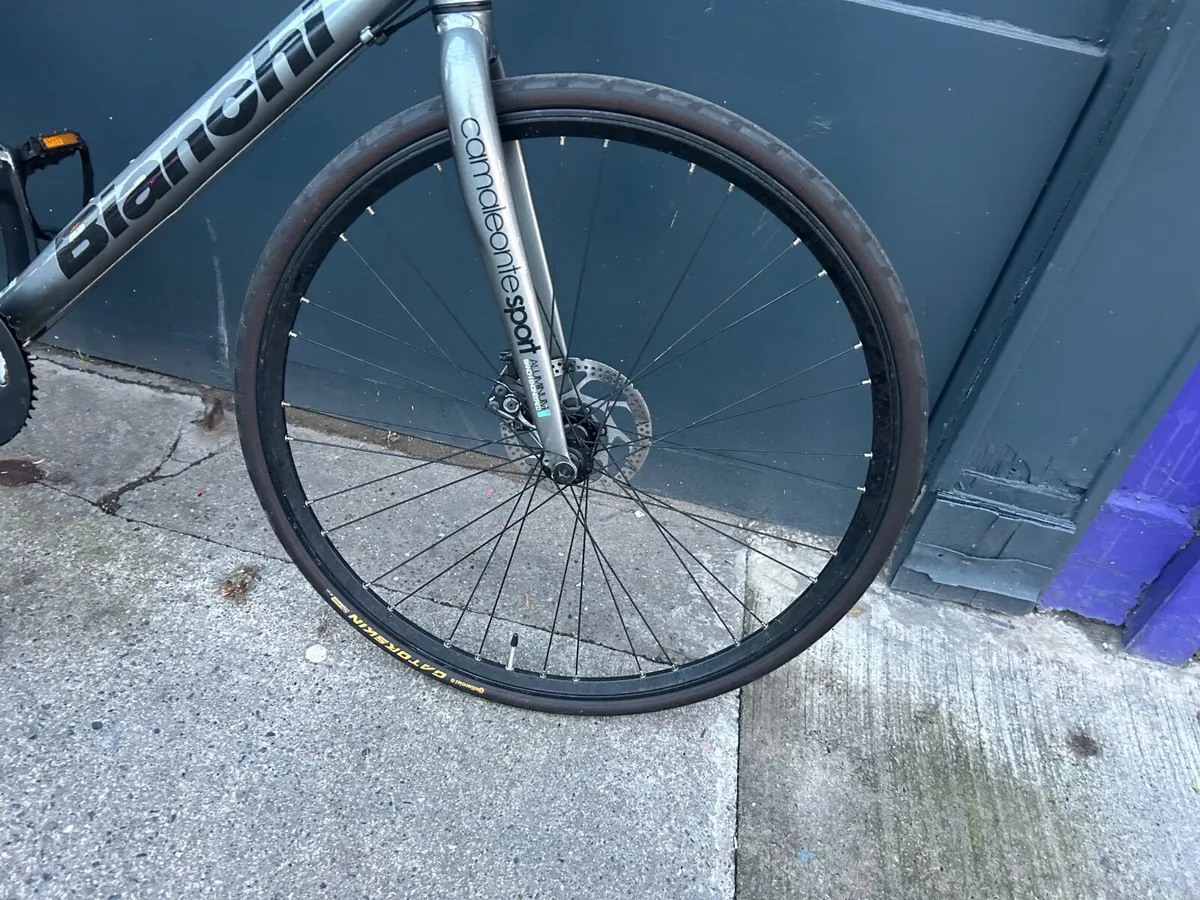 Bianchi  Sport ❗️Open 7 days of the week ❗️ - Image 4