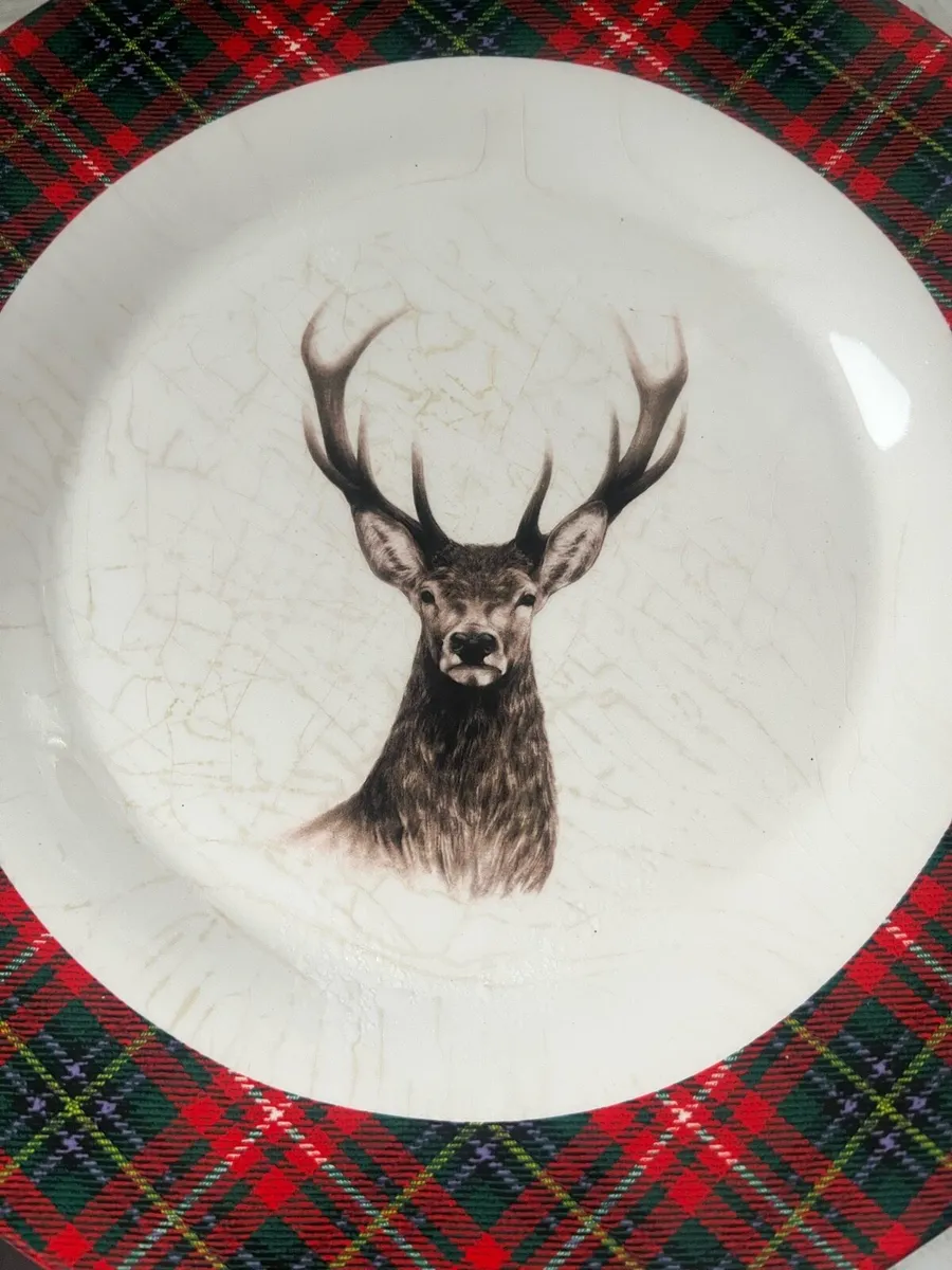 Bundle of plates - Image 4