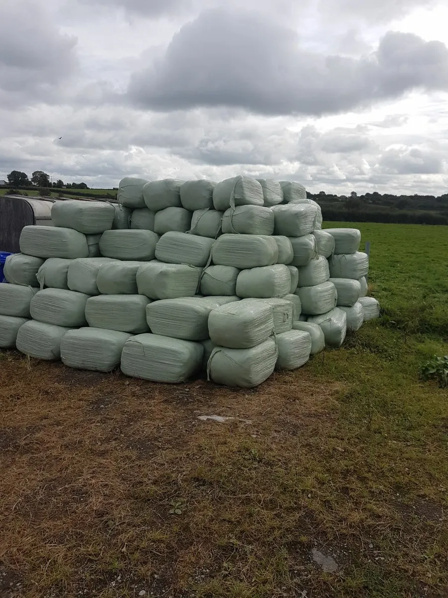 Small square bales of halage - Image 1