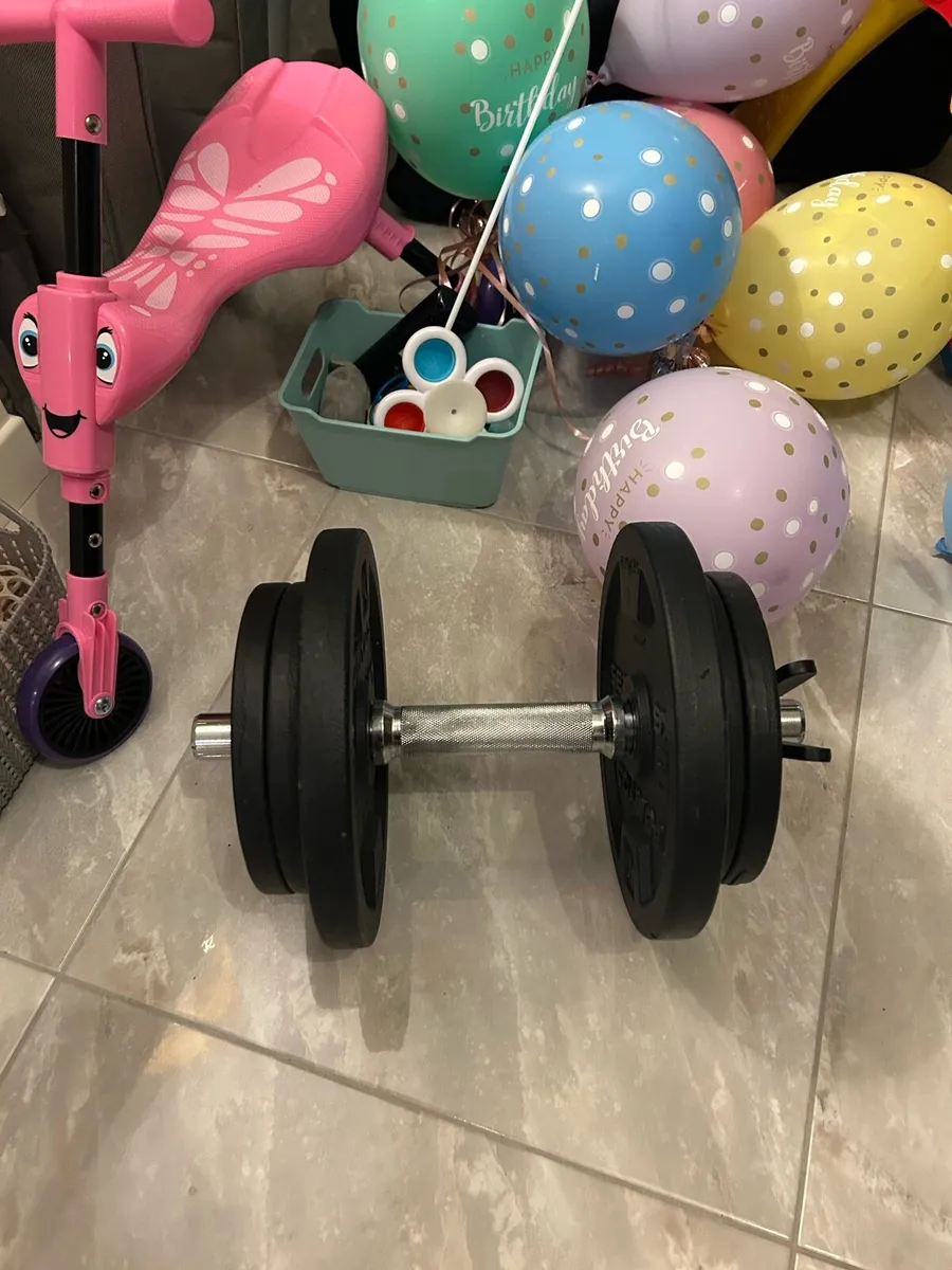 Weights & Bench - Image 4