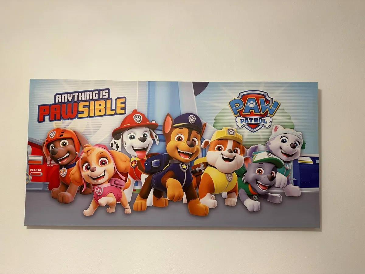 Large Paw Patrol Picture