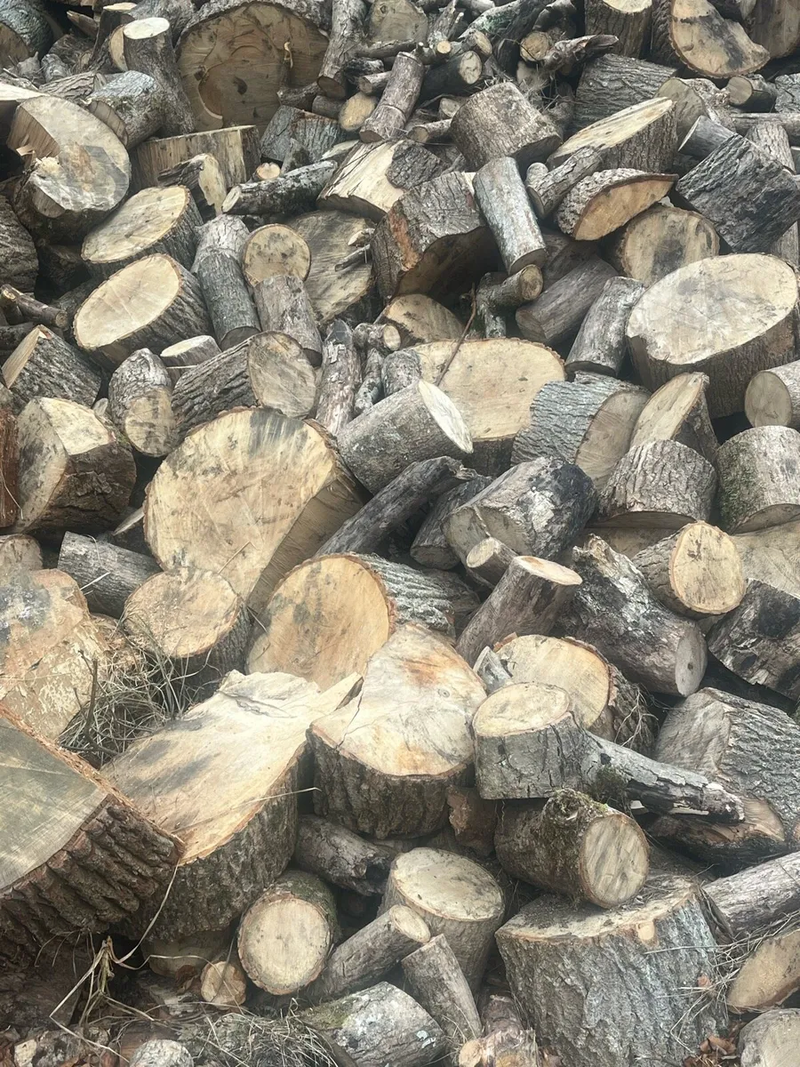 Trailer loads - Image 1