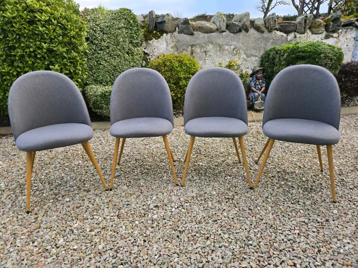 Dining chairs - Image 1