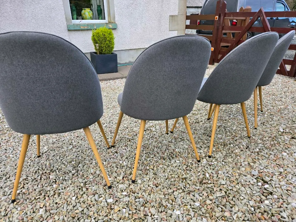 Dining chairs - Image 2