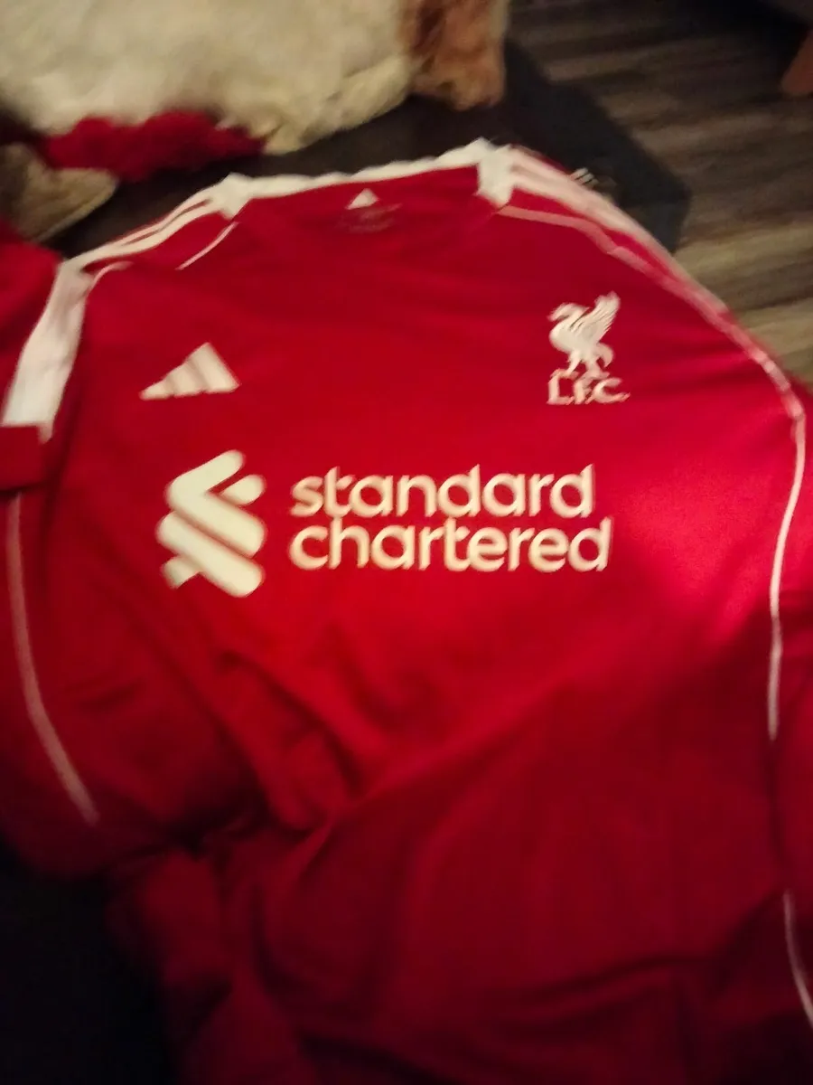 Liverpool jersey men large - Image 4