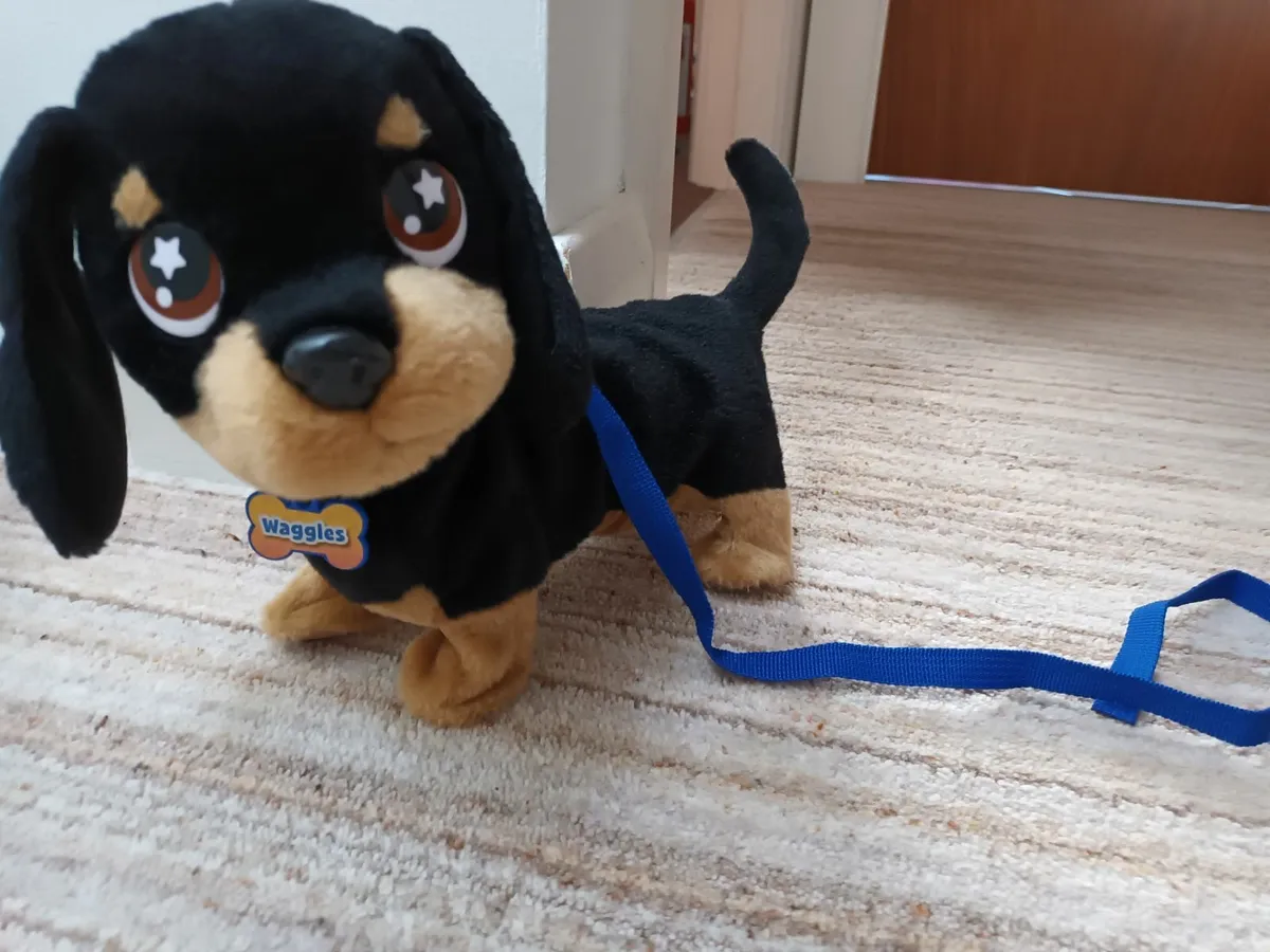 Variety of Toys - Perfect Condition - €15 each - Image 3