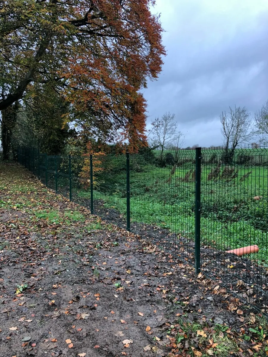 Vmesh fence panels,posts,Gate - Image 1