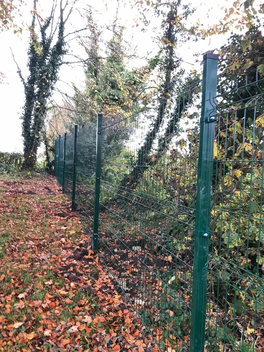 Vmesh fence panels,posts,Gate - Image 4