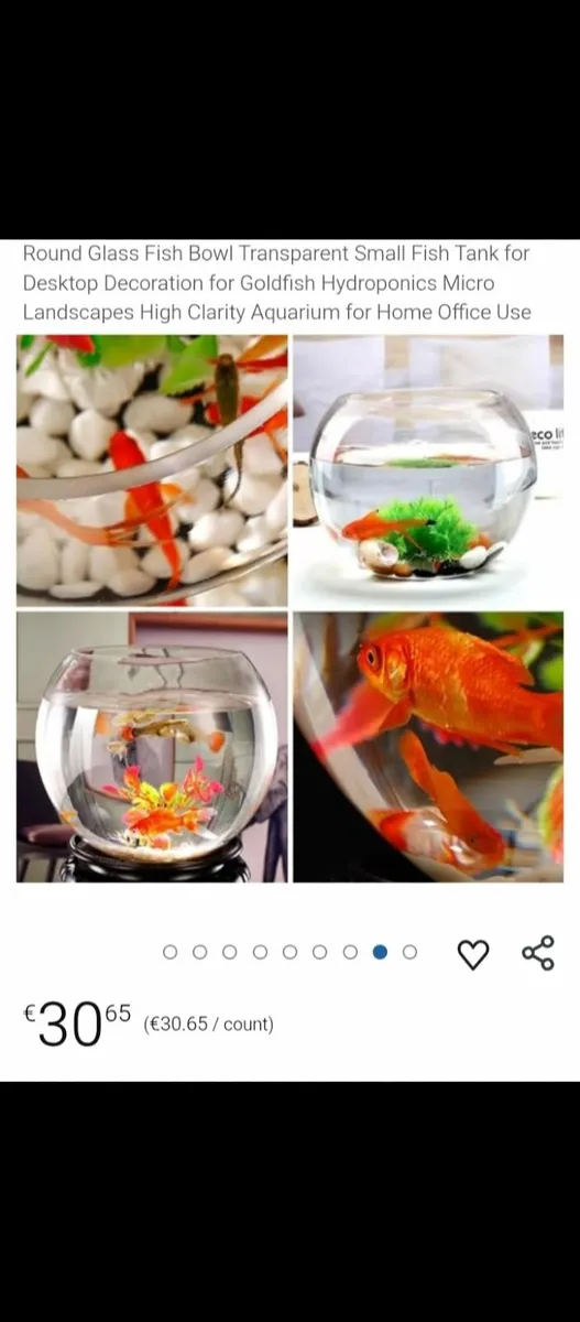 Universal fish tank terrarium plant growing bowls - Image 4