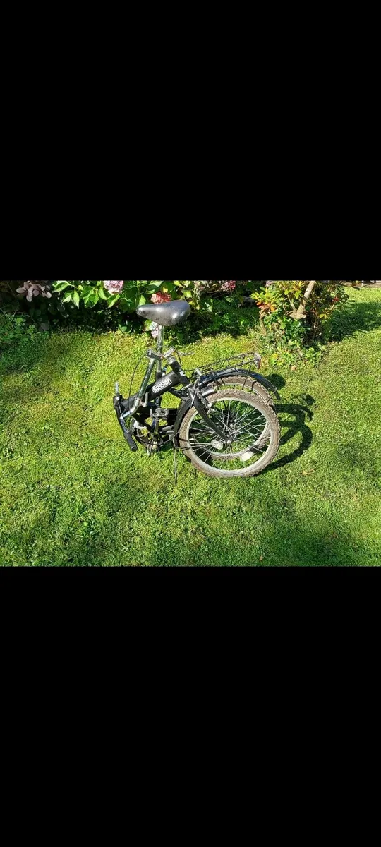 Rosster Fold up Bike - Image 2