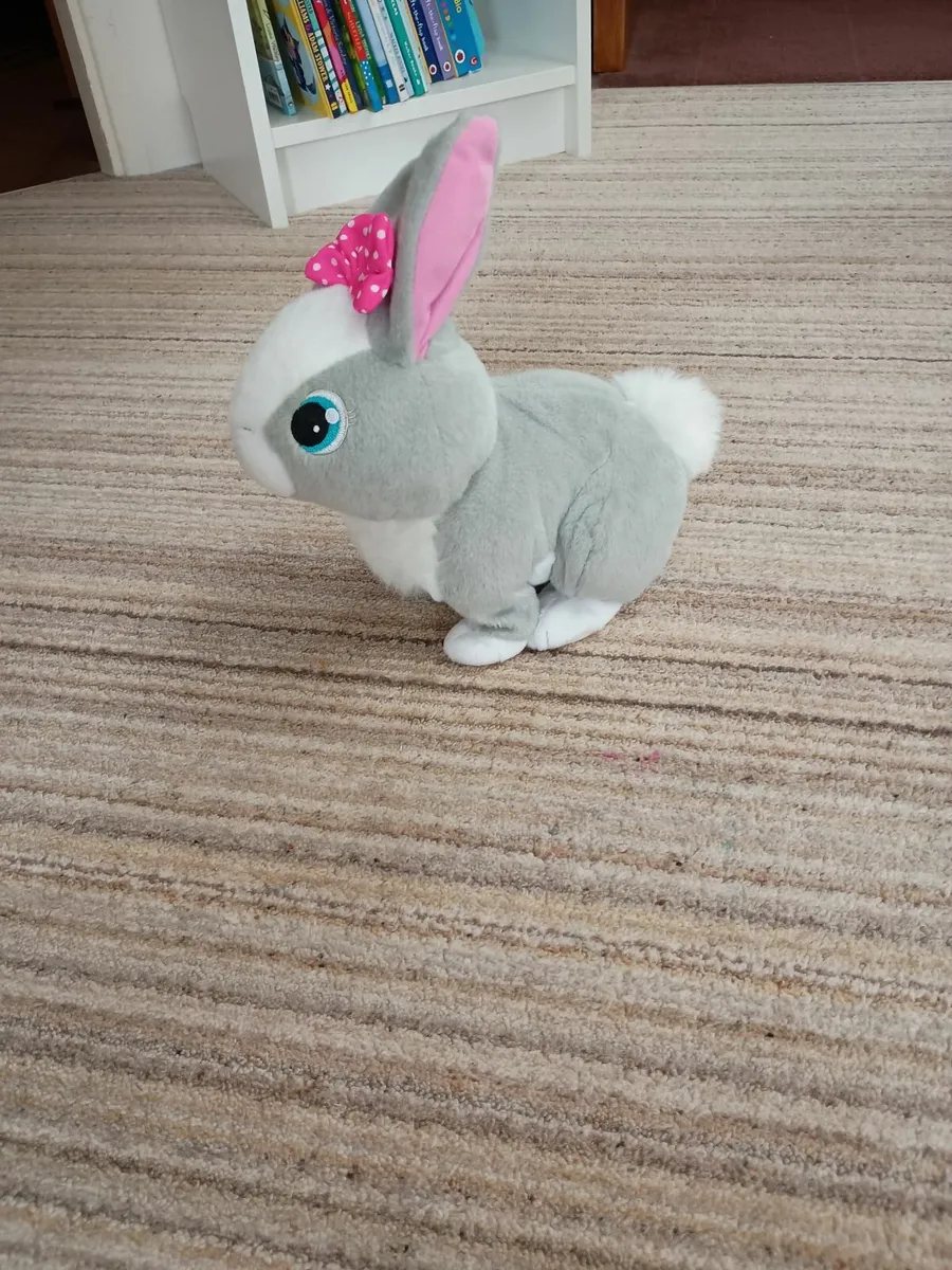 Variety of Toys - Perfect Condition - €10 each - Image 4