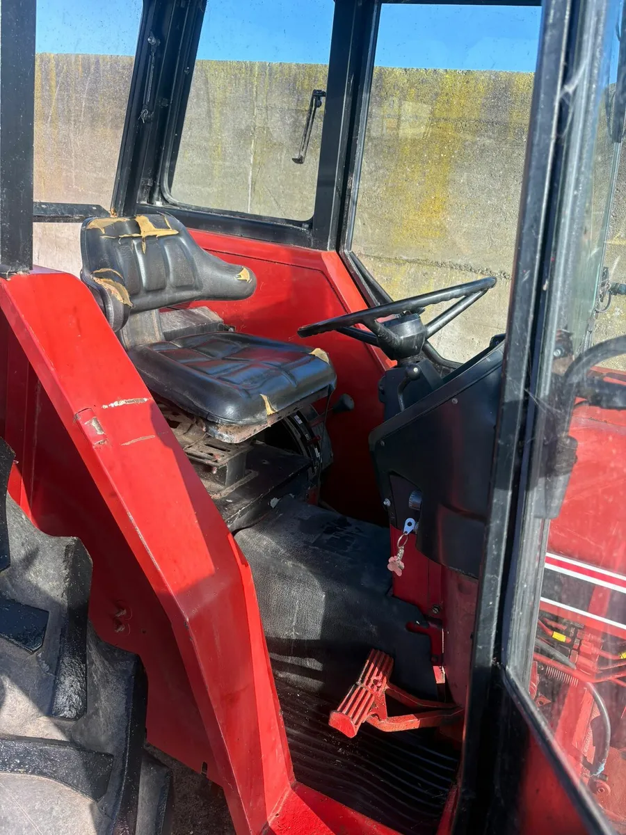 International 684 - Image 2