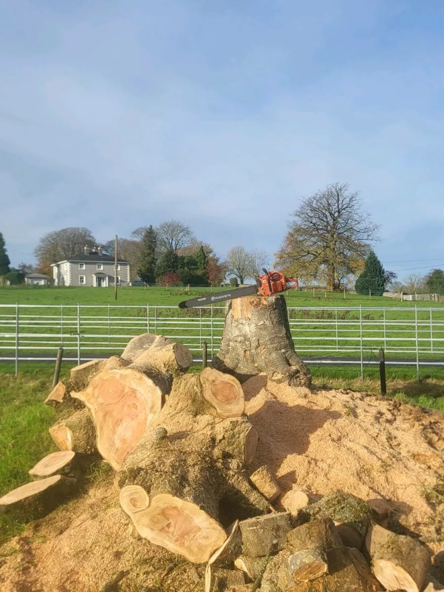 Ported husqvarna 288 - Image 1