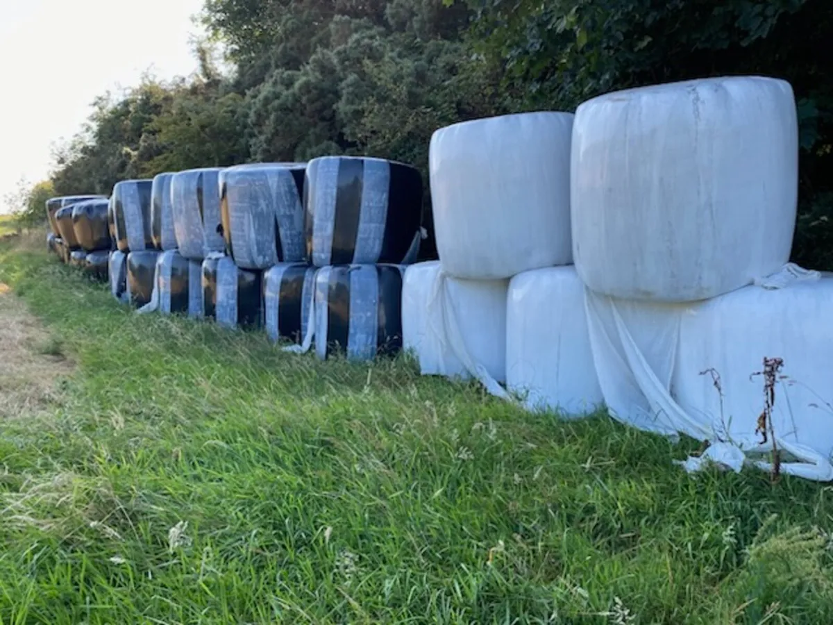 Silage bales for sale