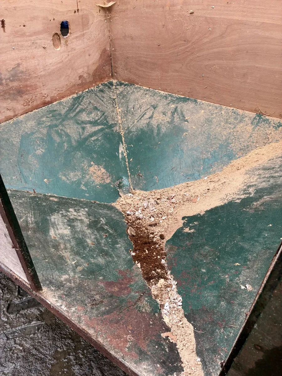 Feed bin - Image 4