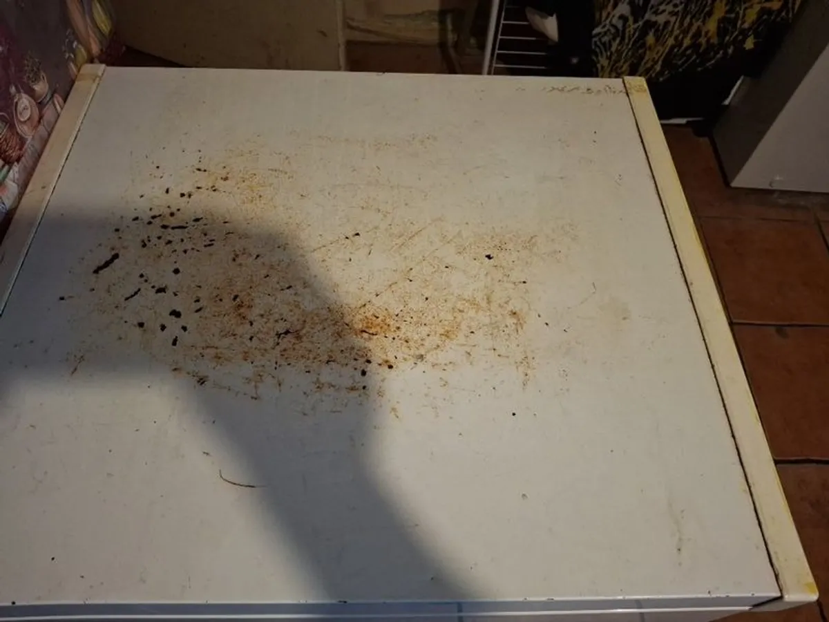 Small chest freezer - Image 3