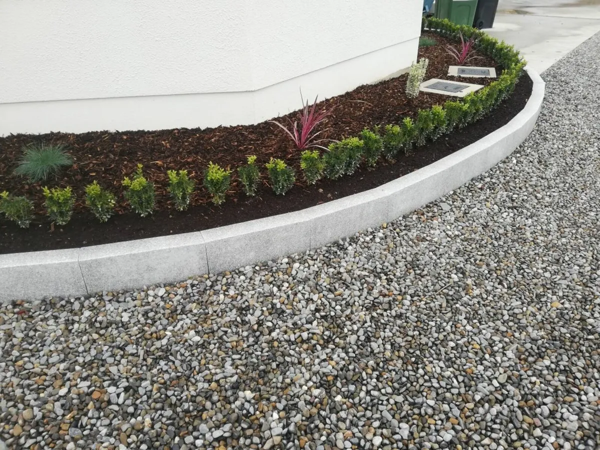 Box Hedging - Image 1