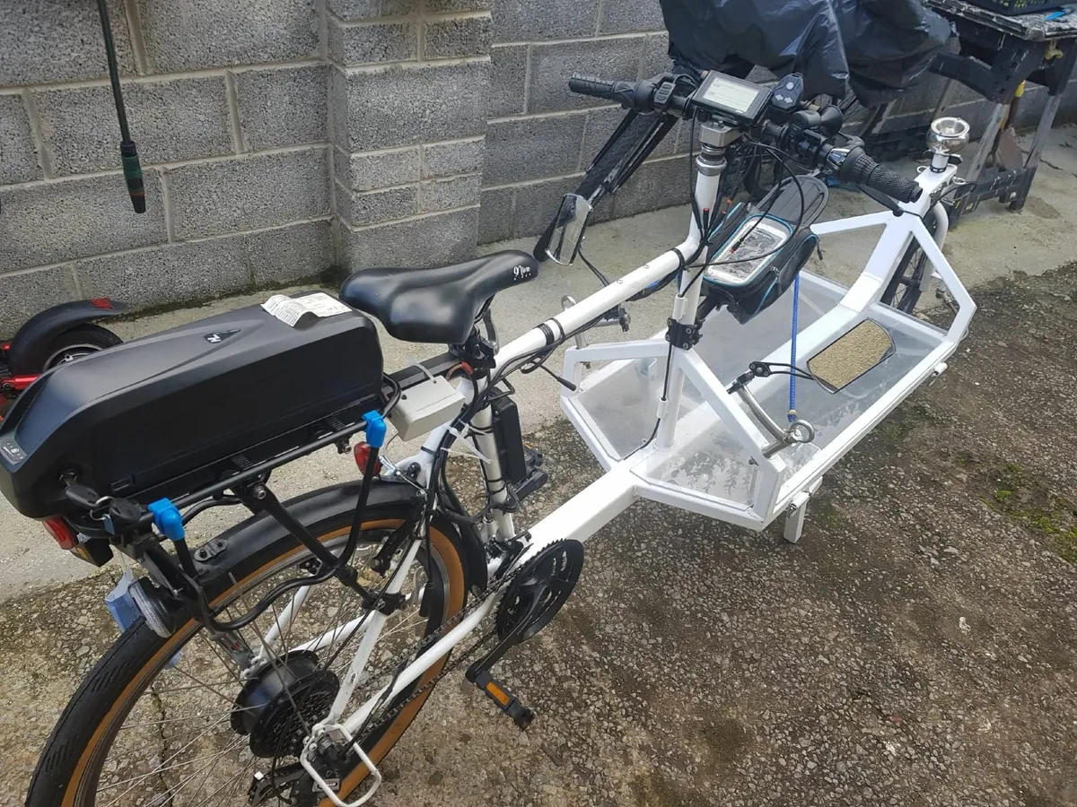 Electric Cargo Bike 36v - Image 1