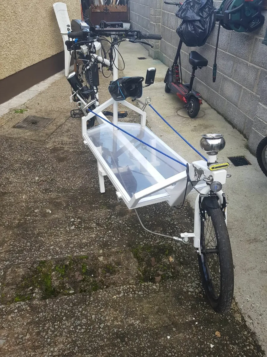 Electric Cargo Bike 36v - Image 3