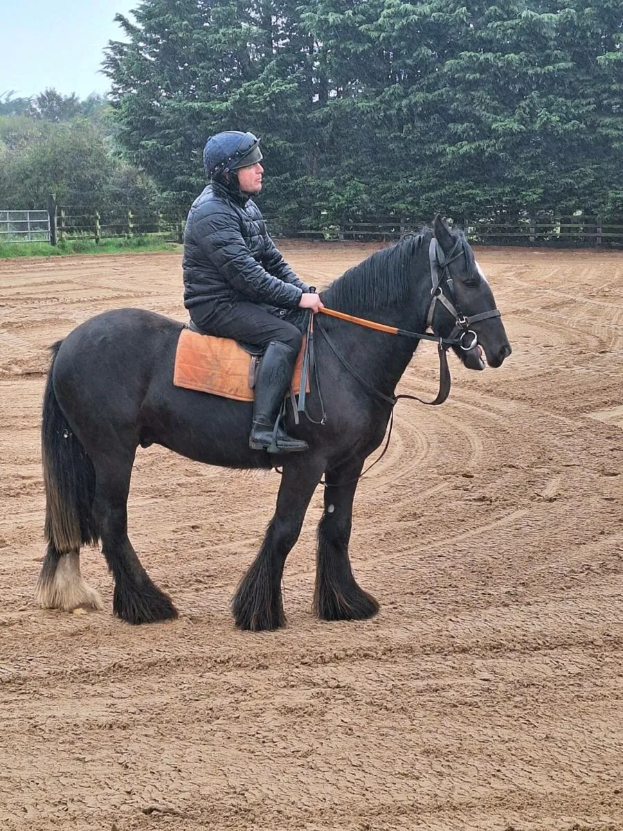 Forever family horse - Image 1