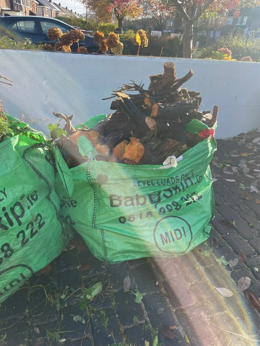 Free Timber (Conifer Logs) – Raheny. Collect only