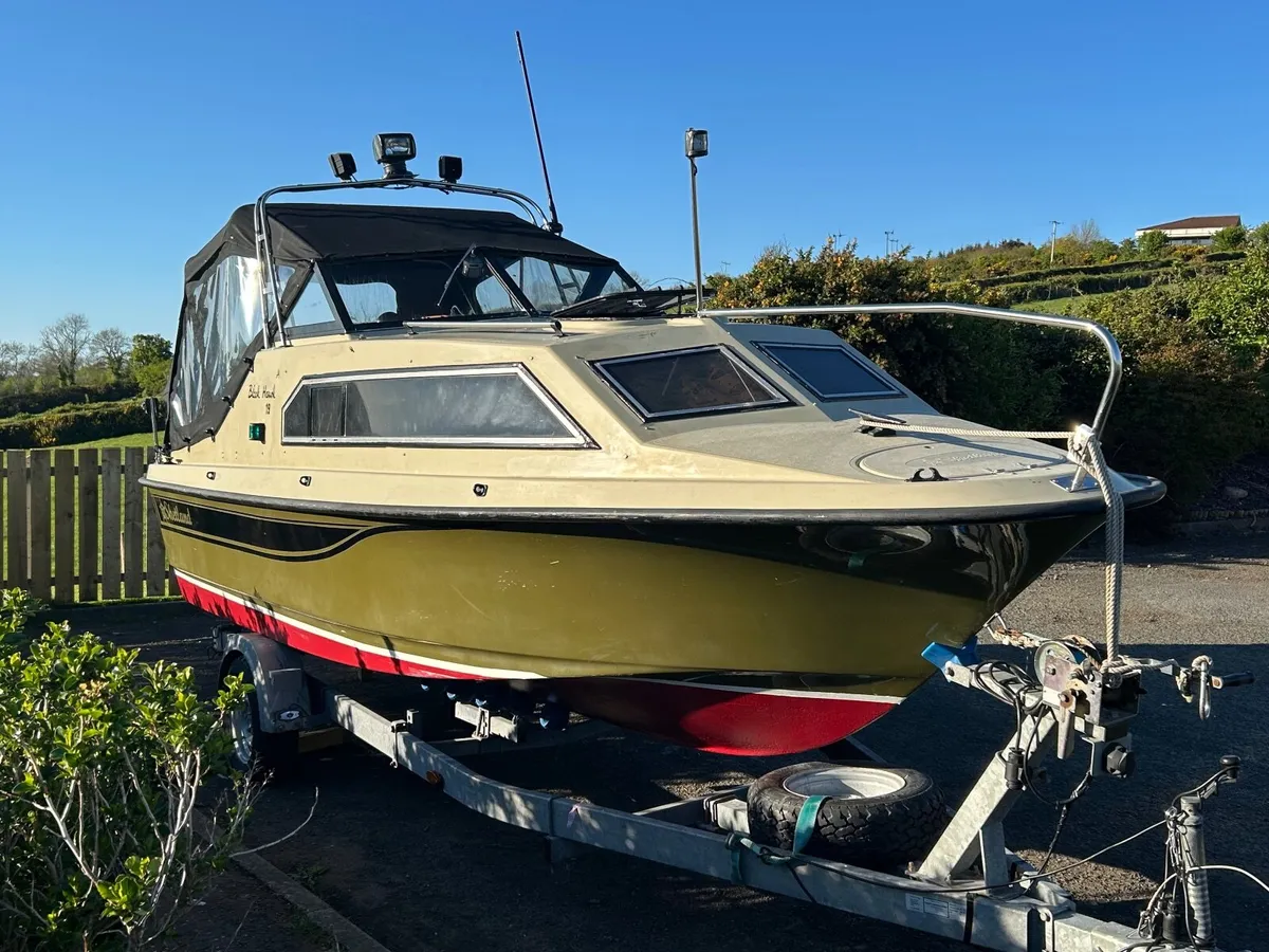 Shetland Black Hawk - Image 1