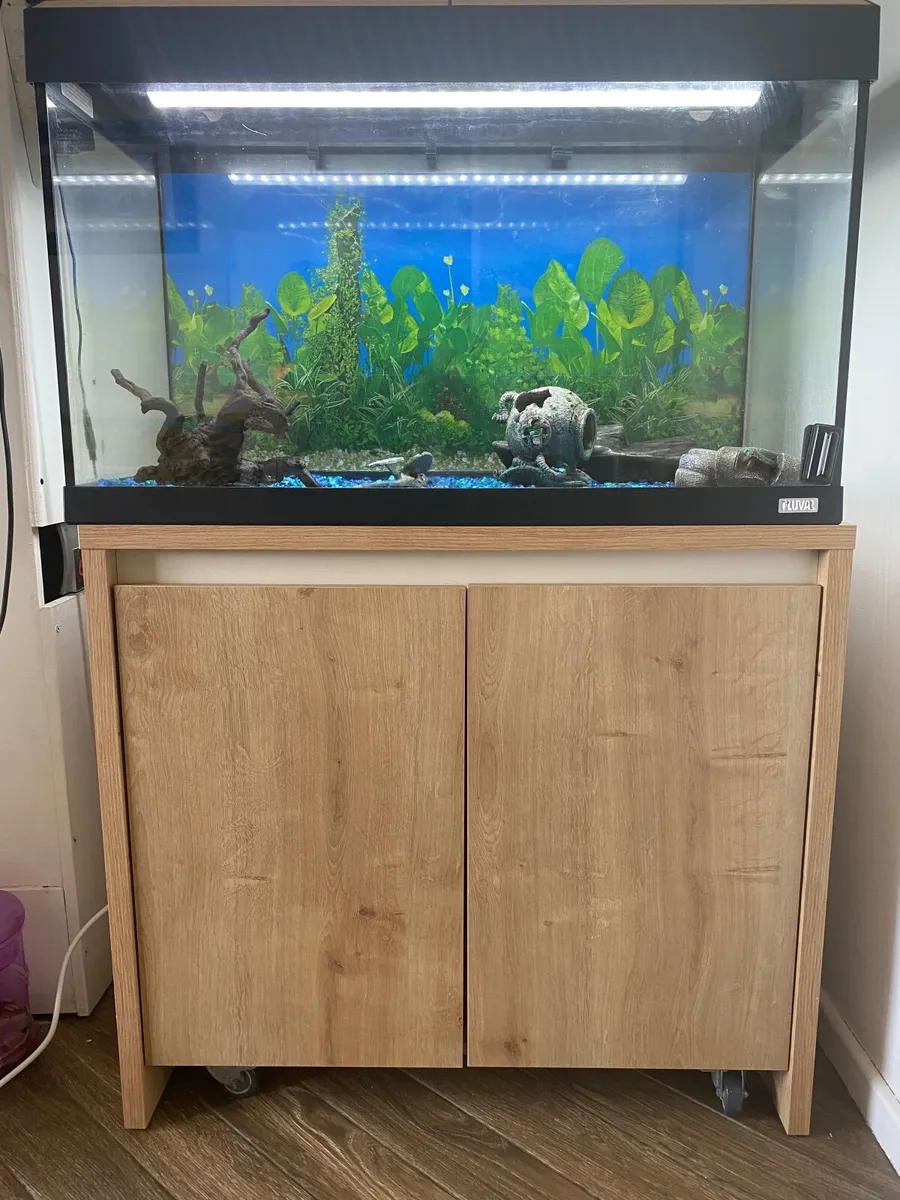 Aquarium and cabinet Fluval Roma LED, 80x35x45 - Image 1