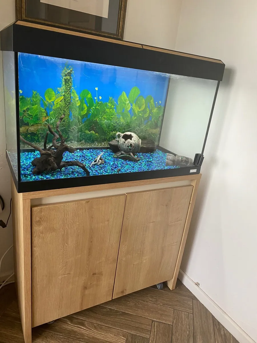 Aquarium and cabinet Fluval Roma LED, 80x35x45 - Image 2