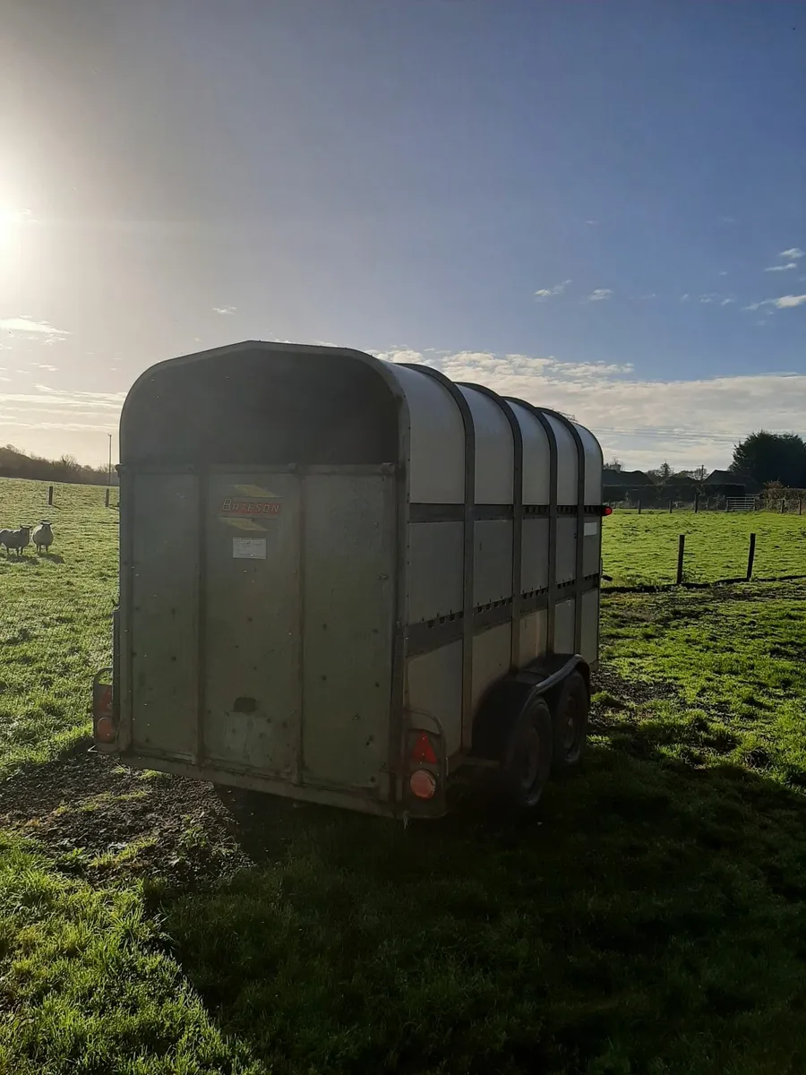 Cattle trailer 12x6 - Image 3