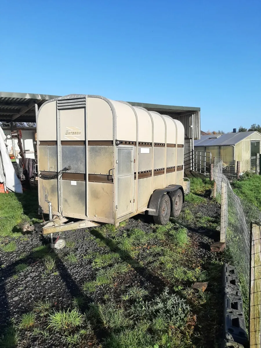 Cattle trailer 12x6 - Image 2
