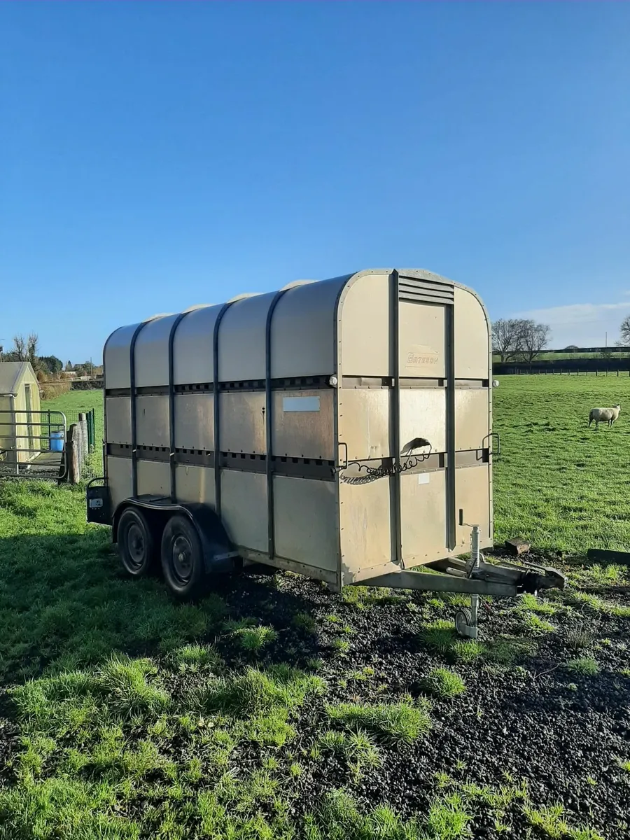 Cattle trailer 12x6 - Image 1