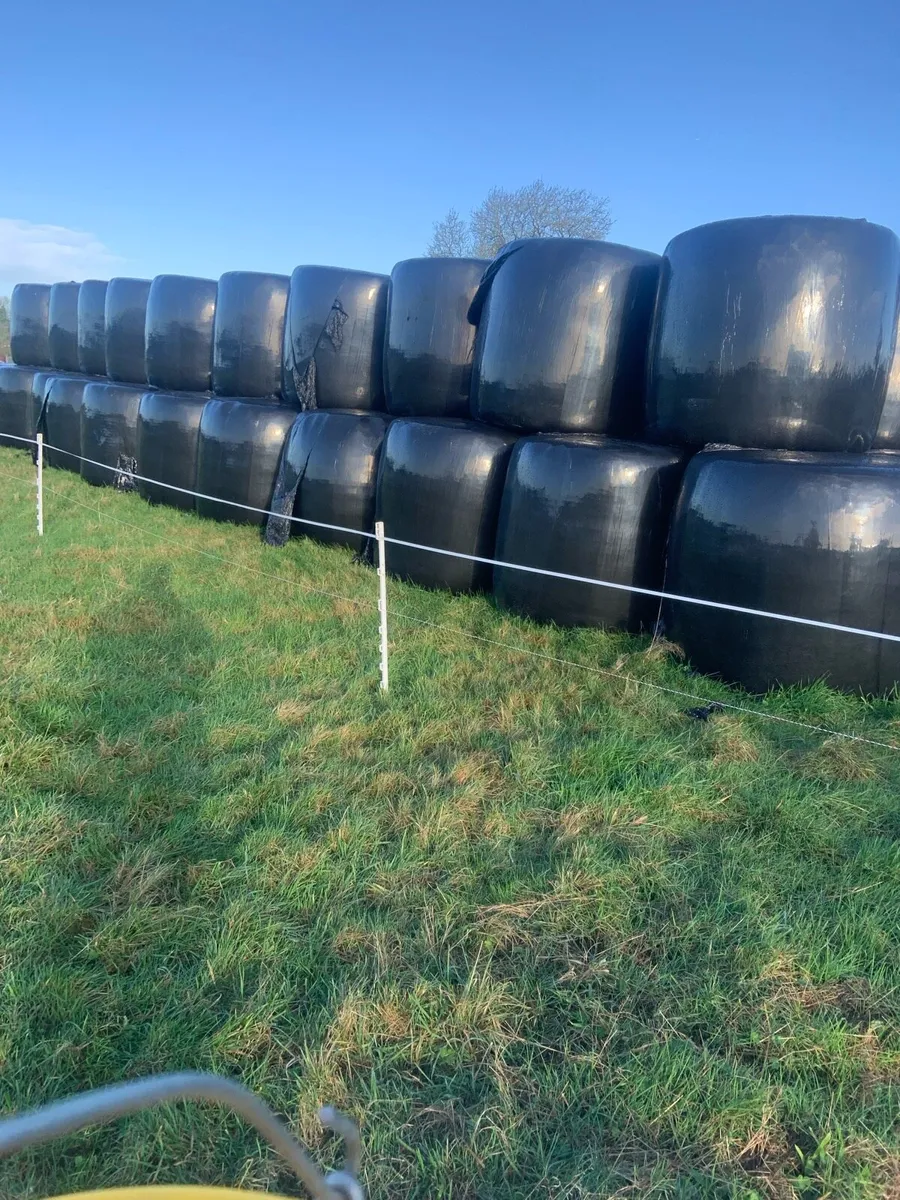Haulage and silage - Image 1