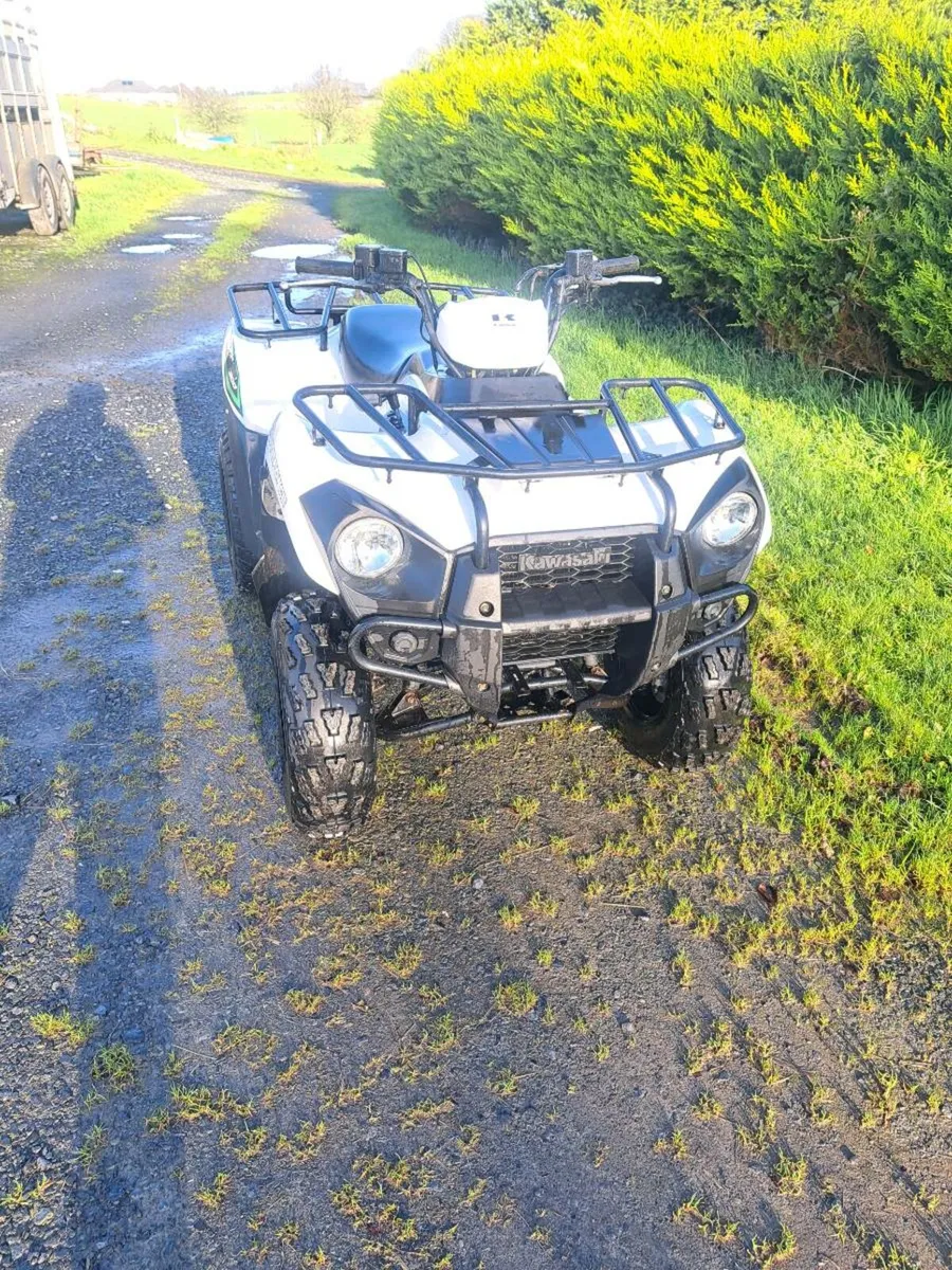 Kawasaki brute force - Image 2