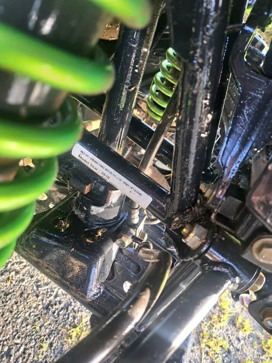 Kawasaki brute force - Image 4