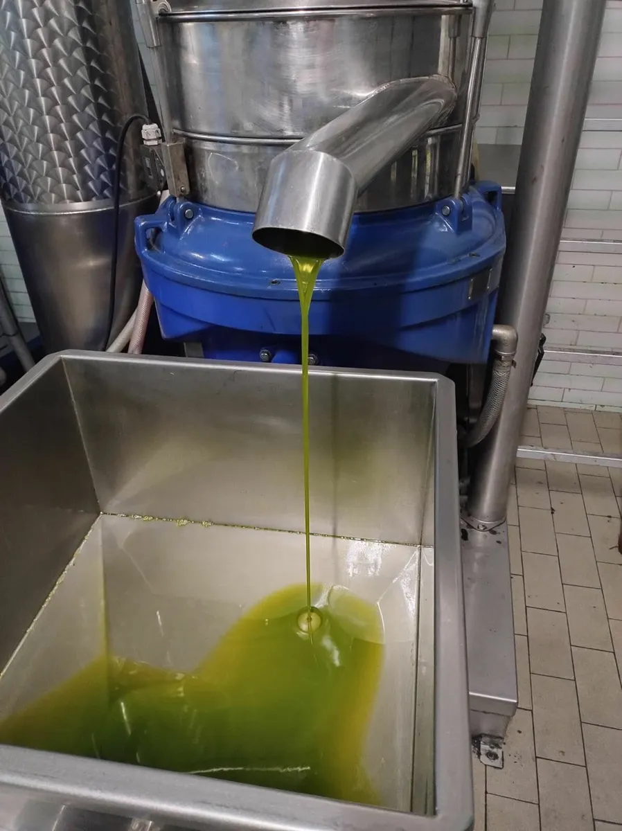 🌿 Our Italian Extra virgin olive oil - 2025 - Image 1