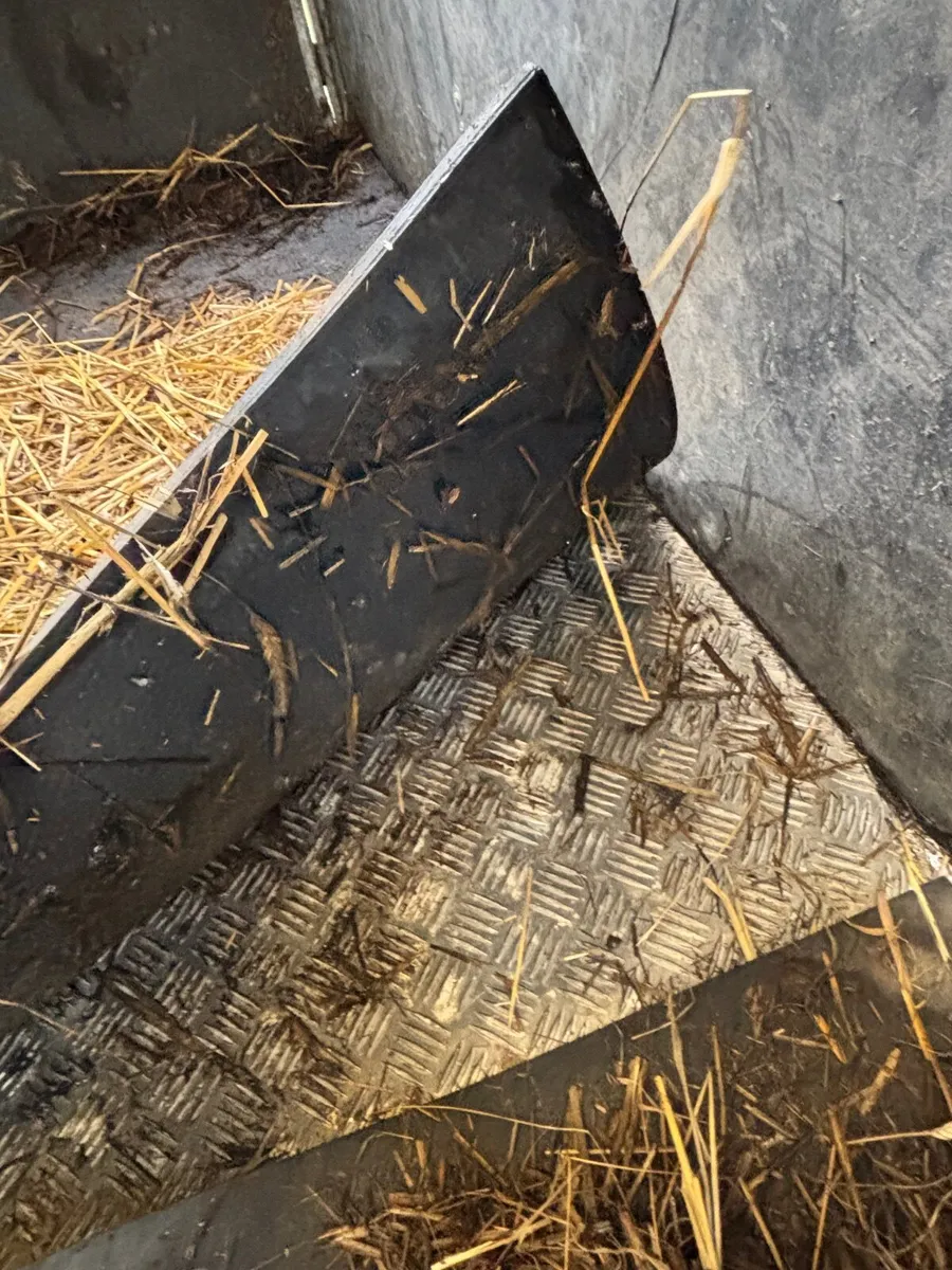 Ifor Williams 505R - Image 2