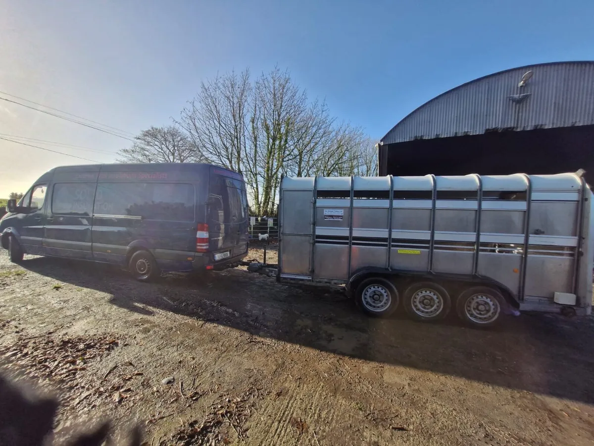 Man with a van - Image 3