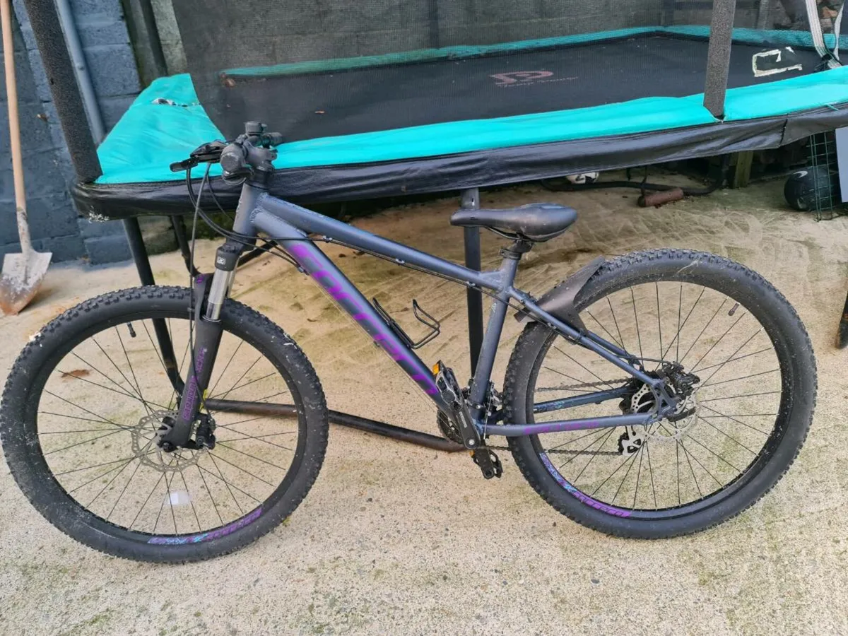 Carrera mountain bike - Image 1