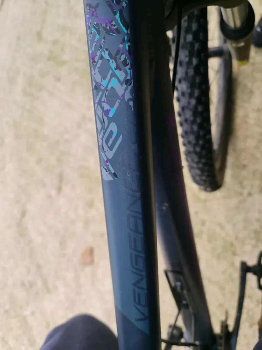 Carrera mountain bike - Image 2