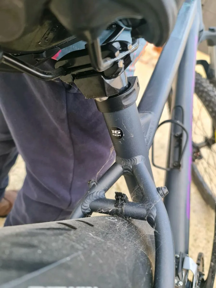 Carrera mountain bike - Image 3